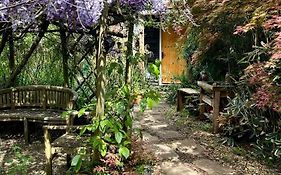 The Garden Room